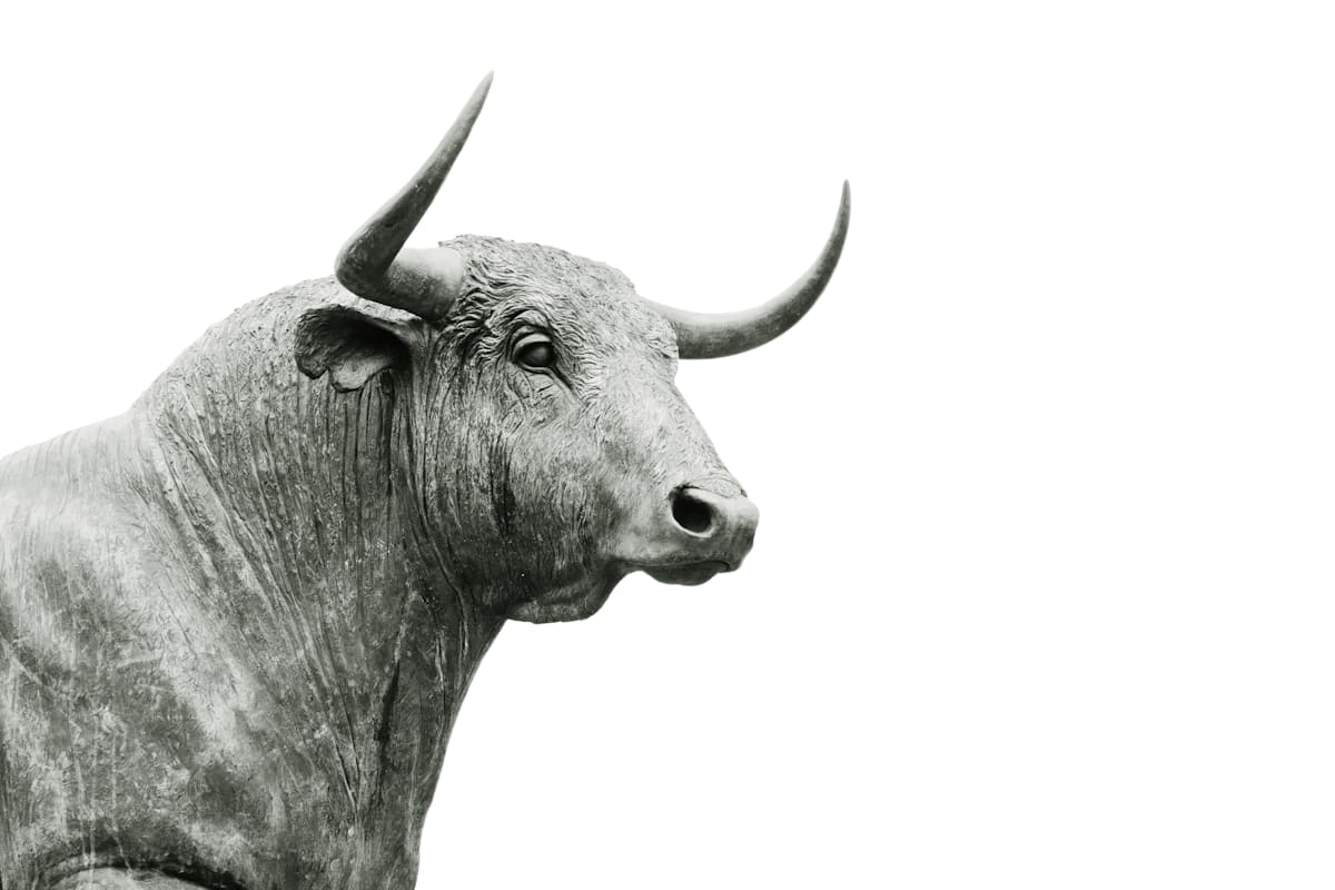 Buffalo gallery image 4
